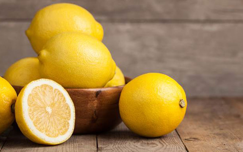 GARDEN CENTER NORTH FORT MYERS