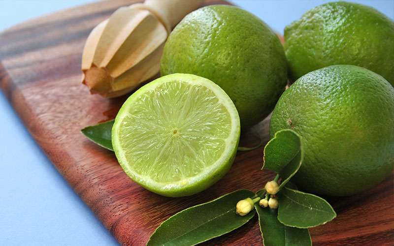 GARDEN CENTER NORTH FORT MYERS