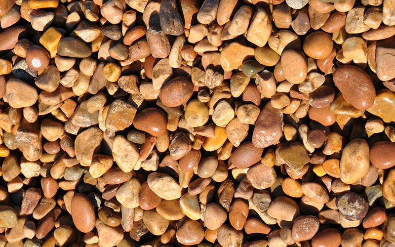 GARDEN CENTER NORTH FORT MYERS