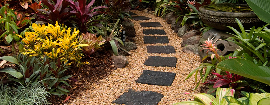 GARDEN CENTER NORTH FORT MYERS