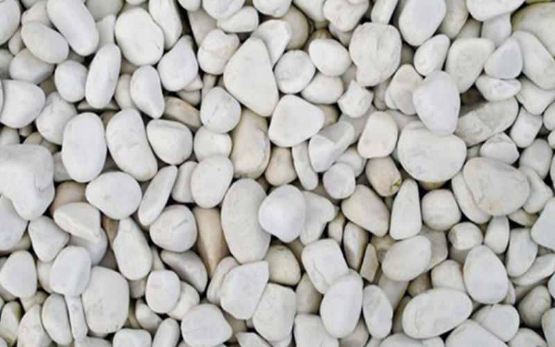 GARDEN CENTER NORTH FORT MYERS