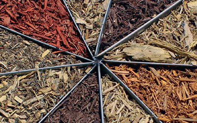 GARDEN CENTER NORTH FORT MYERS