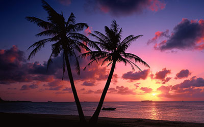 GARDEN CENTER NORTH FORT MYERS