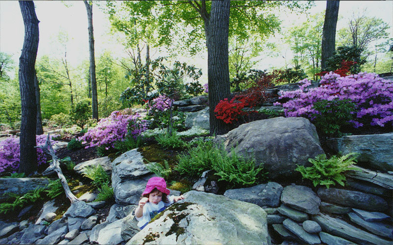 GARDEN CENTER NORTH FORT MYERS