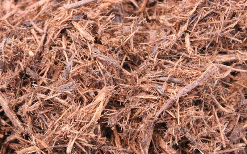 GARDEN CENTER NORTH FORT MYERS