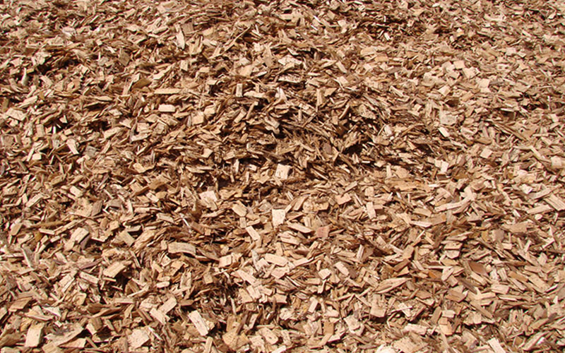 GARDEN CENTER NORTH FORT MYERS