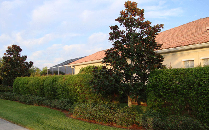 GARDEN CENTER NORTH FORT MYERS