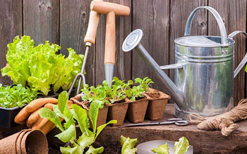 GARDEN CENTER NORTH FORT MYERS