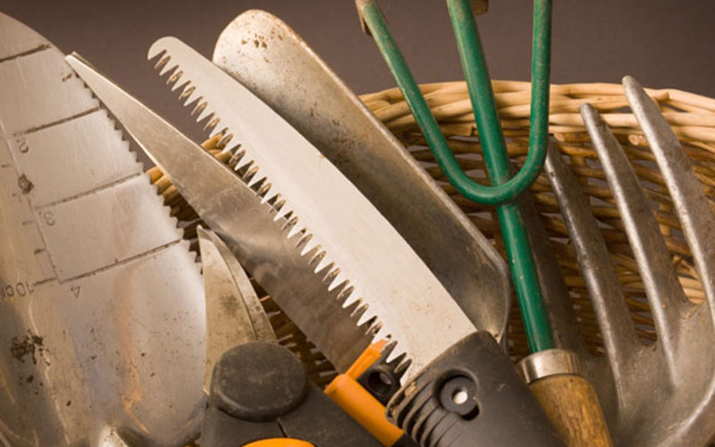 GARDEN CENTER NORTH FORT MYERS