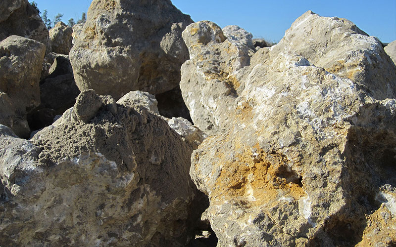 GARDEN CENTER NORTH FORT MYERS