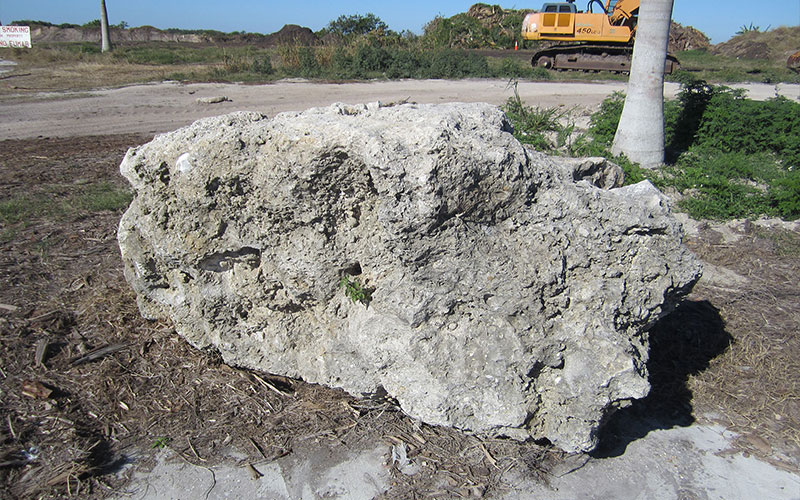 GARDEN CENTER NORTH FORT MYERS