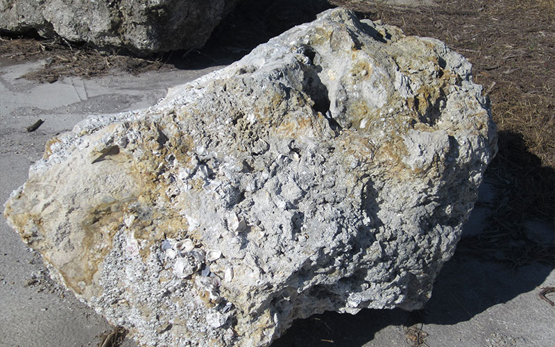 GARDEN CENTER NORTH FORT MYERS