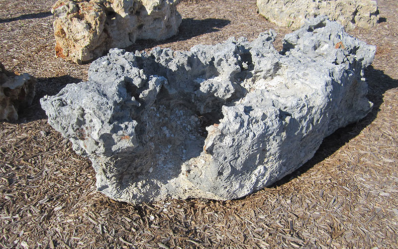 GARDEN CENTER NORTH FORT MYERS