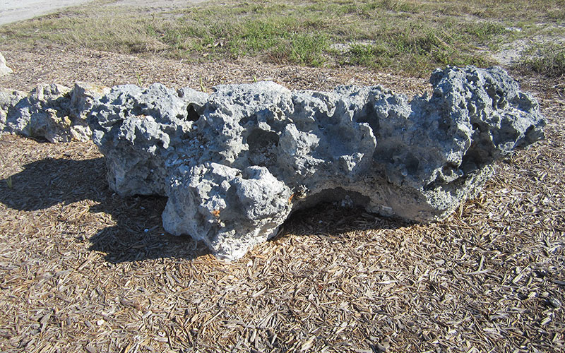 GARDEN CENTER NORTH FORT MYERS